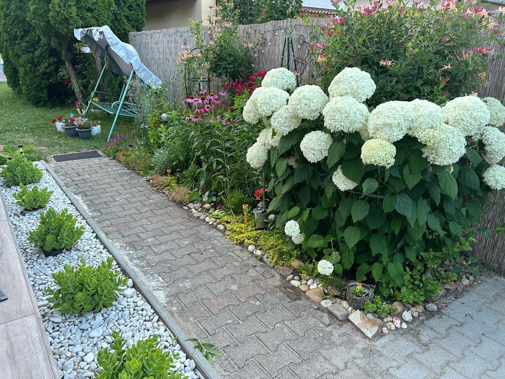 Noemi89 Apartman ชิโอฟก ภายนอก รูปภาพ